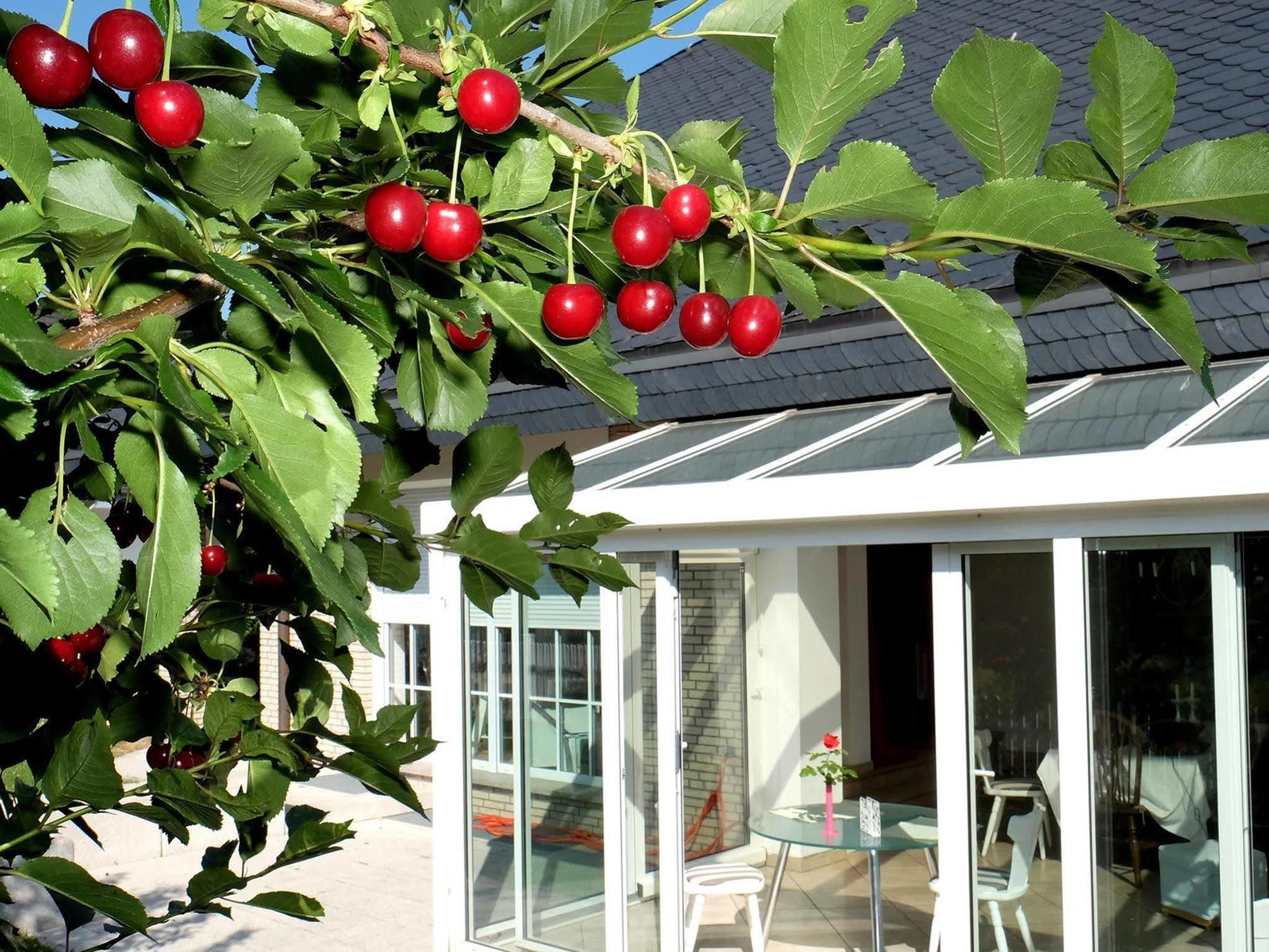 Villa Orchard Frankfurt Kriftel Exterior photo